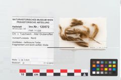 Foto von Textil (NHMW-PRAE-120572)